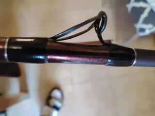 Pareja Cañas Daiwa Prime Caster SS33425H