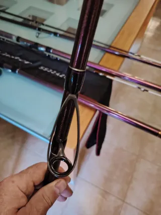 Pareja Cañas Daiwa Prime Caster SS33425H