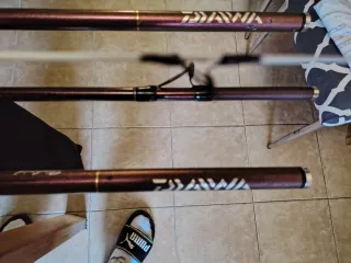 Pareja Cañas Daiwa Prime Caster SS33425H