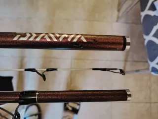 Pareja Cañas Daiwa Prime Caster SS33425H