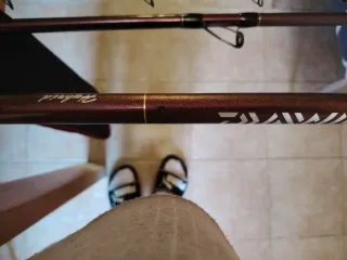 Pareja Cañas Daiwa Prime Caster SS33425H