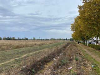 Terreno en venta en Santa María en Ciudad Real