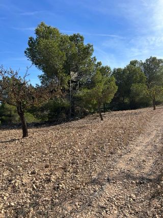 Finca Rústica en Monóver (Casas del Señor)