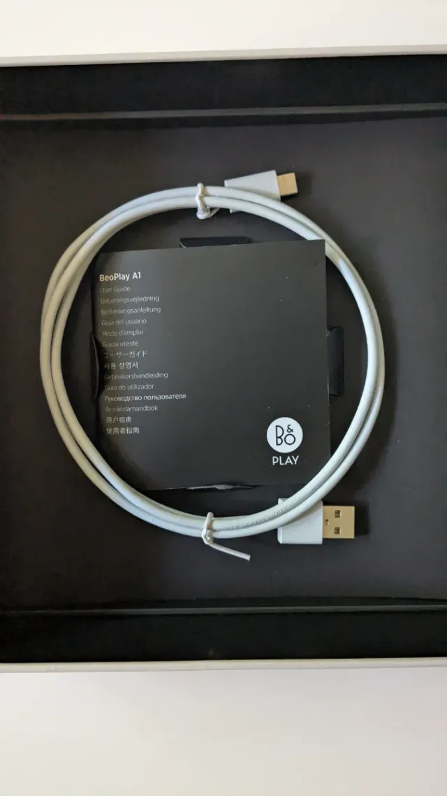 Bang & Olufsen Beoplay A1