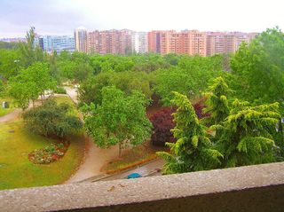 Piso en alquiler en La Paz en Madrid