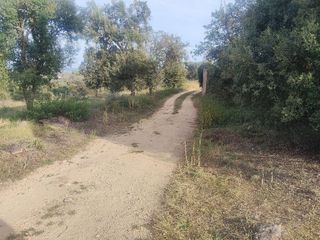 Solar en venta en Residencial Park en Maçanet de la Selva