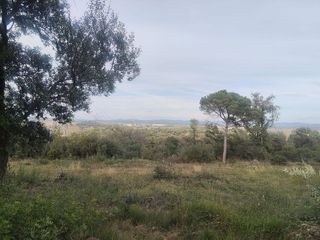 Solar en venta en Residencial Park en Maçanet de la Selva