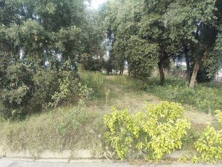 Solar en venta en Residencial Park en Maçanet de la Selva