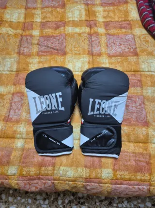 Guantes de Boxeo Leone 14 oz