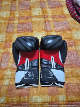 Guantes de Boxeo Leone 14 oz