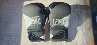 Guantes de Boxeo Leone 14 oz