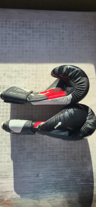 Guantes de Boxeo Leone 14 oz