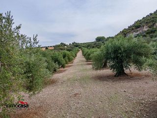 Terreno en venta en Illora