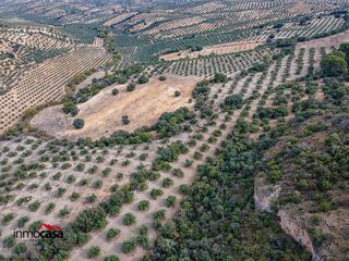 Terreno en venta en Illora