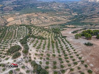 Terreno en venta en Illora