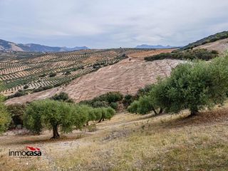 Terreno en venta en Illora