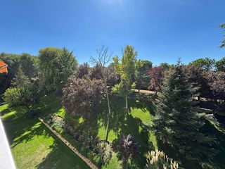 Piso en alquiler en Fuentelarreina en Madrid