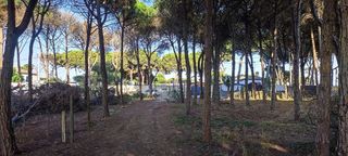 Solar en venta en Núcleo Urbano en Chiclana de la Frontera