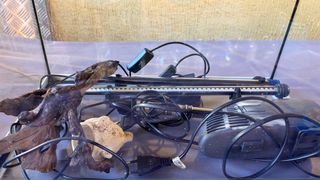 Acuario 40 litros con accesorios.