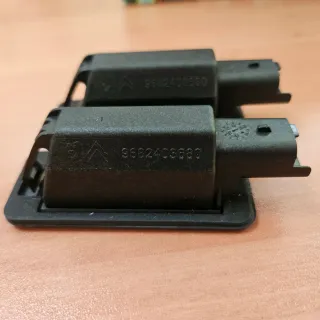 Plafones matrícula Originales Peugeot Citroën