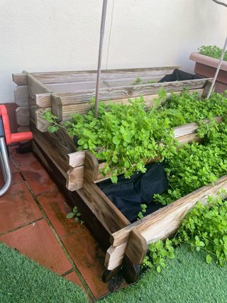 Huerto urbano escalonado madera