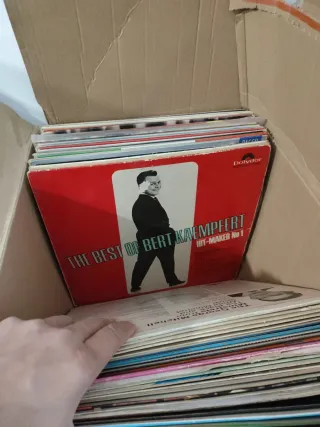 Lote Vinilos Folk/Instrumental/World Music