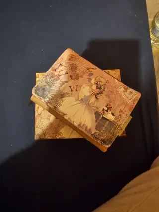 Monedero con diseño de chica y mariposas