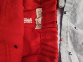 Conjunto Camisa y Pantalón Corto Niño