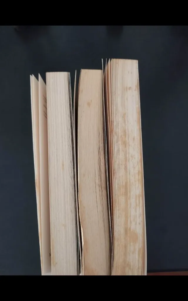 Il bordo vertiginoso delle cose