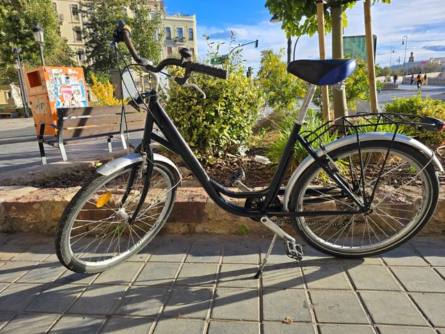 Bicicleta urbana negra