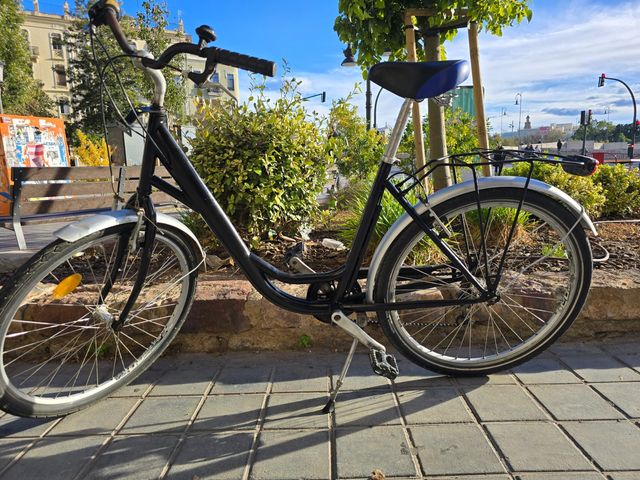 Bicicleta urbana negra