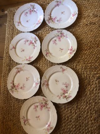 Platos de postre antiguos porcelana floral