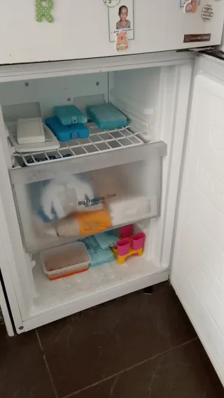 Nevera LG Inverter Linear Compressor