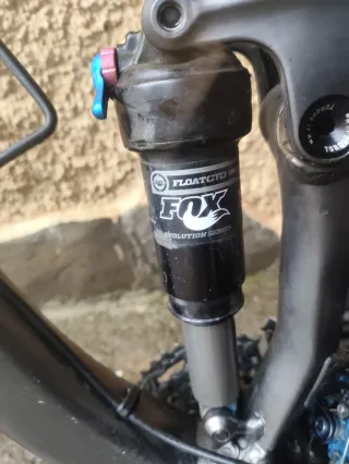 Bicicleta Canyon Nerve AL