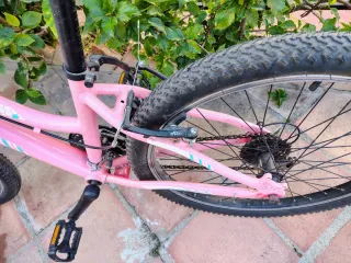 Bicicleta J.L.WENTI 24 Aluminio