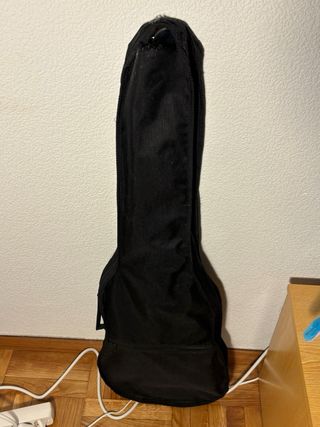 Guitarra Eléctrica Sonora Negra