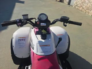 Quad Polaris Trail Boss 325 Rosa. año 2000