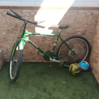 Bicicleta de Montaña Record