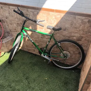 Bicicleta de Montaña Record