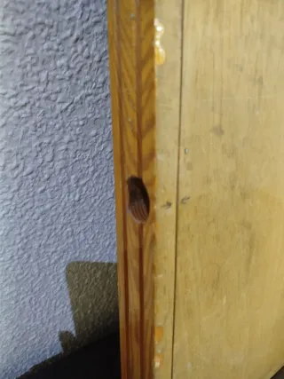Juego de la Oca de Madera