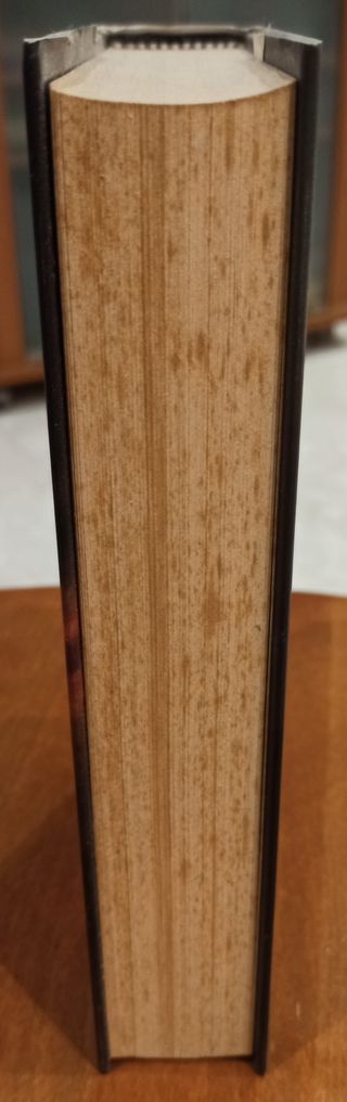 I custodi della biblioteca