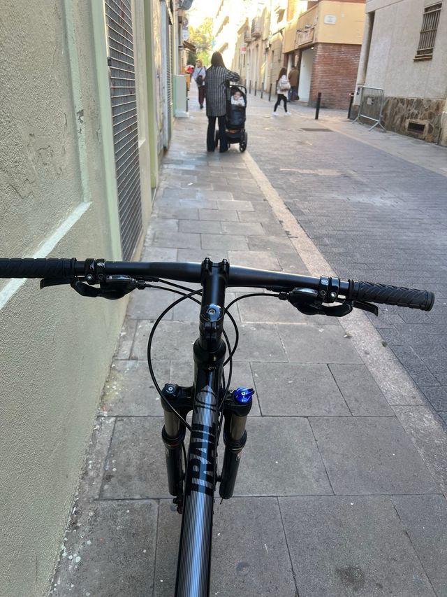 Bicicleta Berg Trail 10