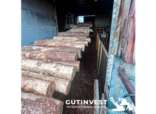 Aserradero para fabricación de madera