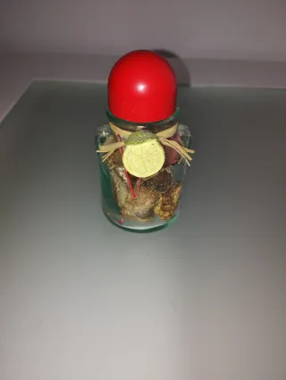 Frasquitos decorativos hojas secas