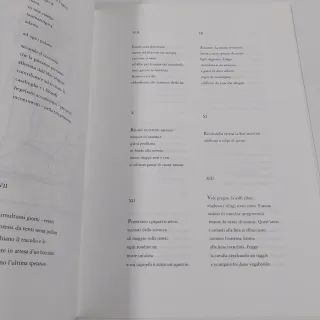 ACROSTICI A SCACCHI - Poesie e disegni artistici