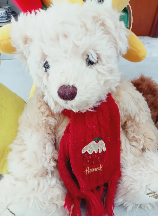 Lote 4 Peluches: Winnie, Pikachu, Oso, Morsa