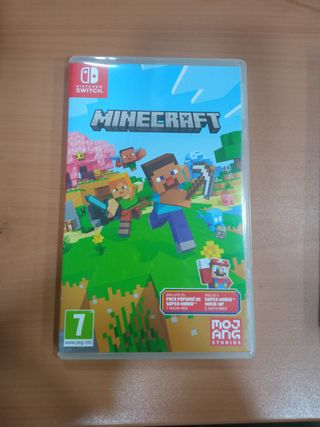 Minecraft Nintendo Switch