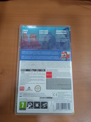 Minecraft Nintendo Switch