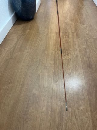 Caña de pescar y sacadera