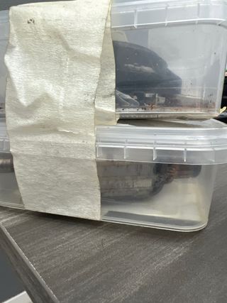 Motor arranque Mitsuba 12V Cagiva Mito 125